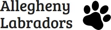 Allegheny Labradors Logo